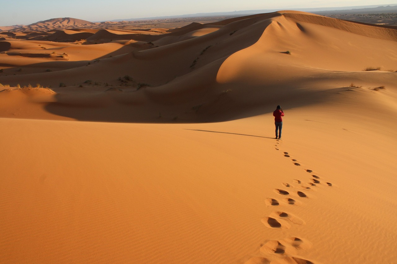 The “O” (for Ontologist) Person and the Knowledge Graph Job Market Disconnect